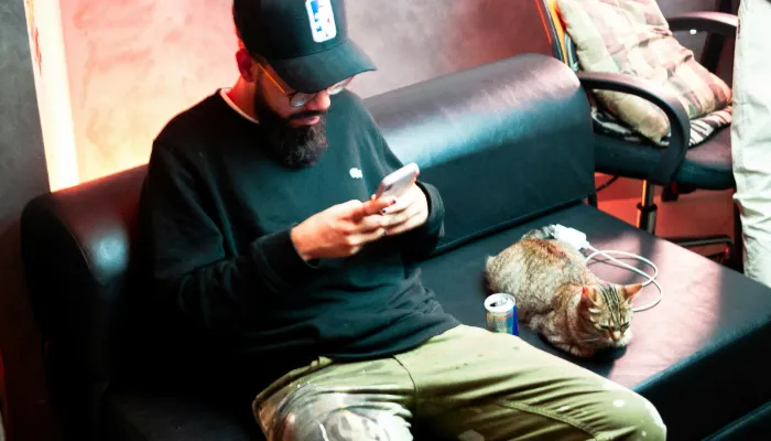 Are Human to Cat Translators Real? Are Human to Cat Translators Real?