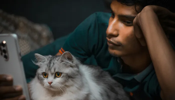 Best Cat Translator Apps Best Cat Translator Apps
