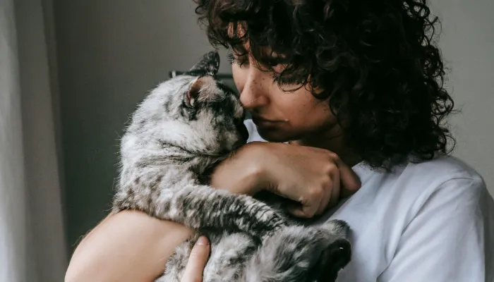 Cat Language Translator What is It Cat Language Translator What is It