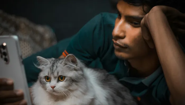 Cat Translator App: General Overview Cat Translator App: General Overview