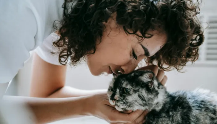 Cat Translator: Getting Started Cat Translator: Getting Started