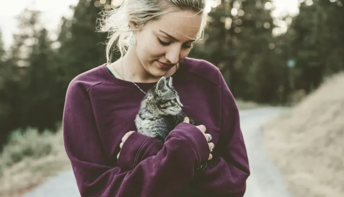 How Do Cats Say “I Love You”? How Do Cats Say “I Love You”?