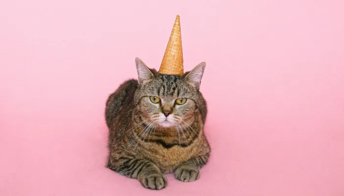 How Do Cats Say “Yes”? How Do Cats Say “Yes”?