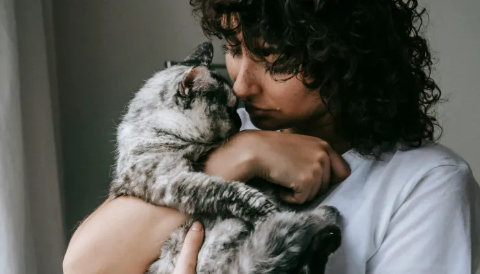 How Do I Say “I Love You” in Cat Translator? How Do I Say “I Love You” in Cat Translator?