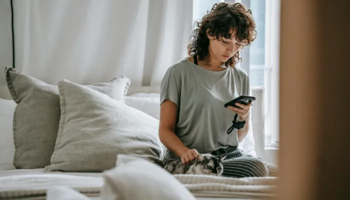 How to Use the Cat Translator App?