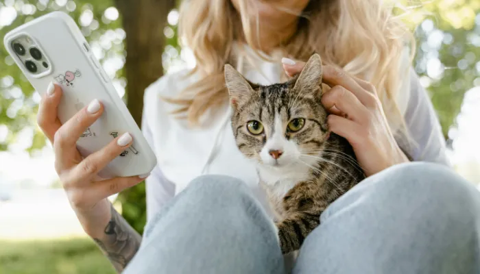 Is There A Cat Language Translator Online? Is There A Cat Language Translator Online?
