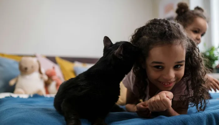Pros and Cons of Cat Meow Translators Pros and Cons of Cat Meow Translators