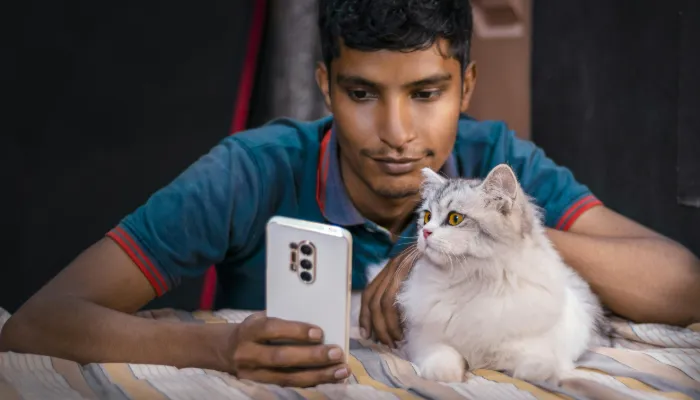 Pros and Cons of Using an English to Cat Language Translator Pros and Cons of Using an English to Cat Language Translator